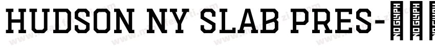 Hudson NY Slab Pres字体转换